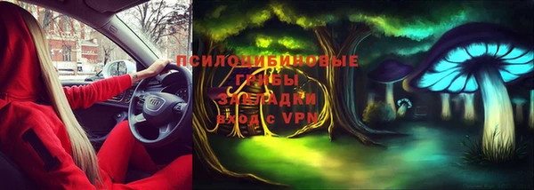 соль курить ск Арсеньев