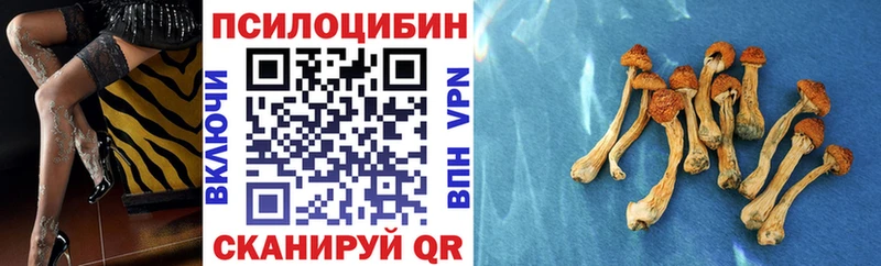 Псилоцибиновые грибы GOLDEN TEACHER  omg tor  Островной 